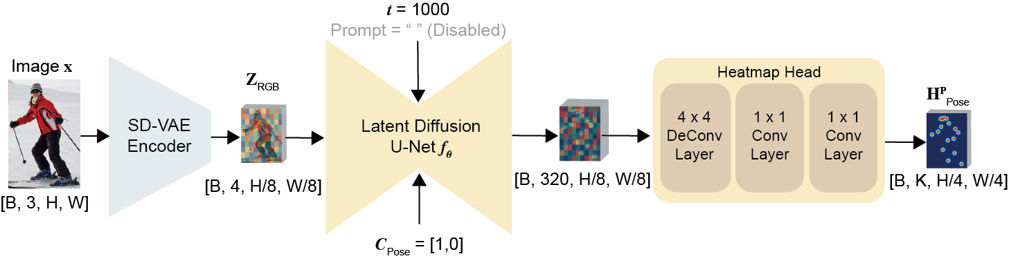 SDPose Inference Pipeline